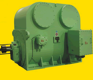 YBS系列高壓隔爆型水冷三相異步電動(dòng)機(jī)